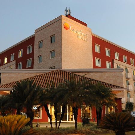 Comfort Hotel Araraquara Zewnętrze zdjęcie